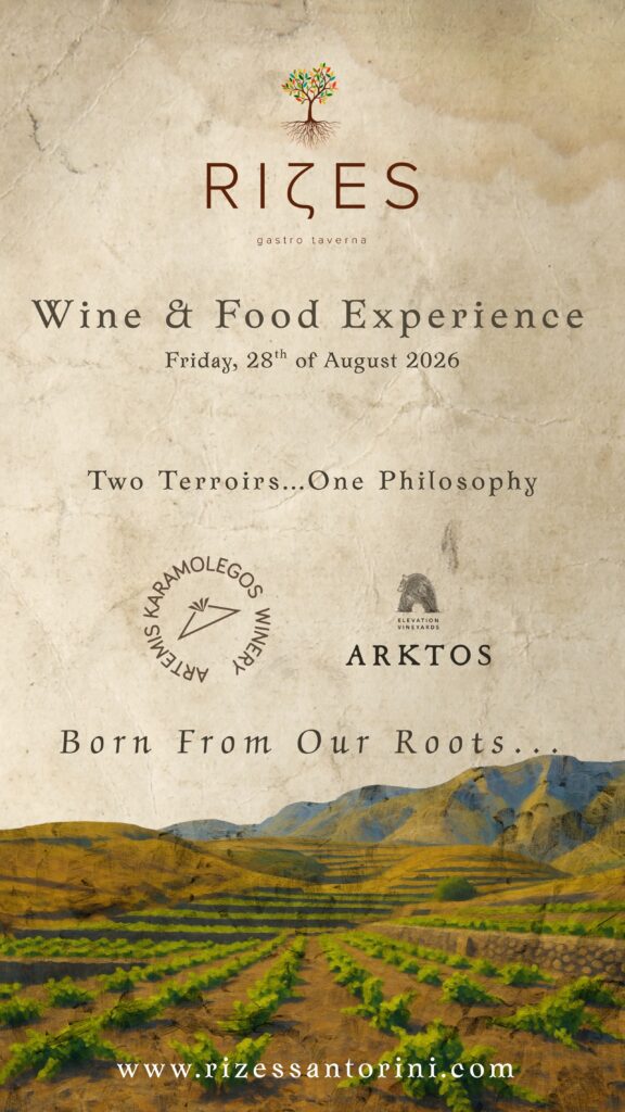 Wine & Food Experience