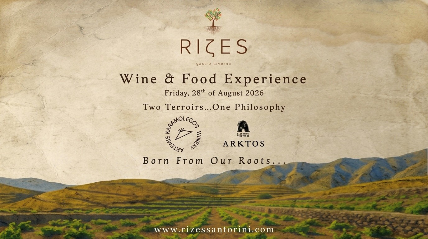 Wine & Food Experience