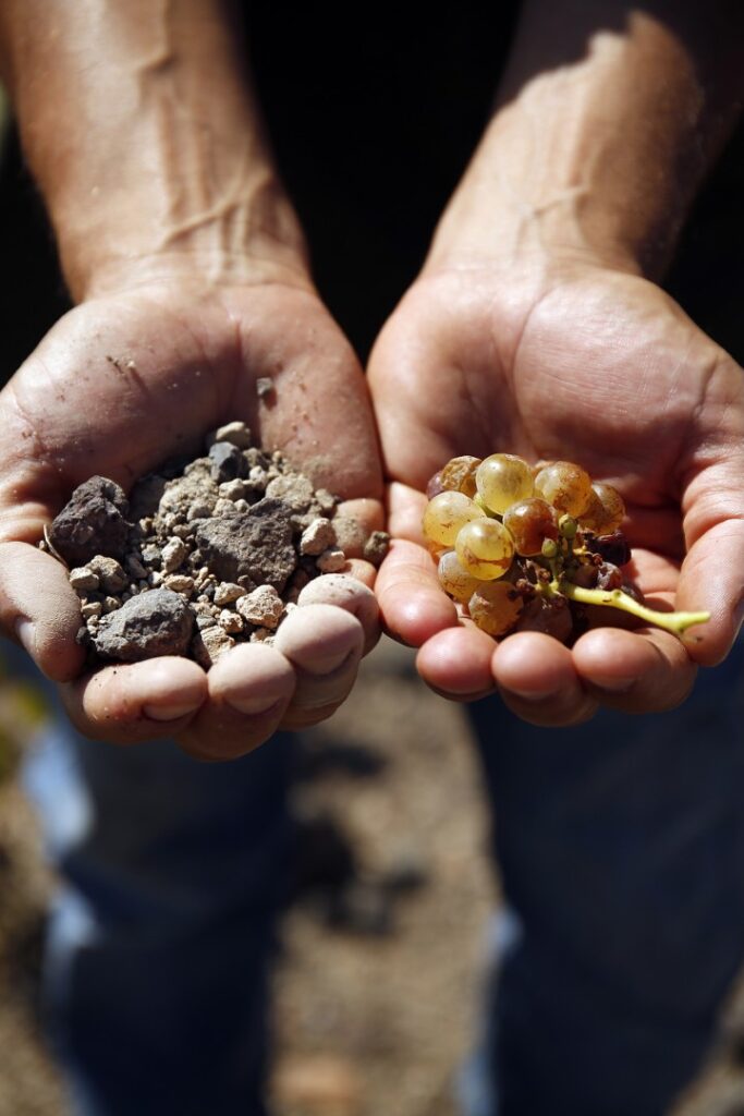 Wonders of Volcanic Soil